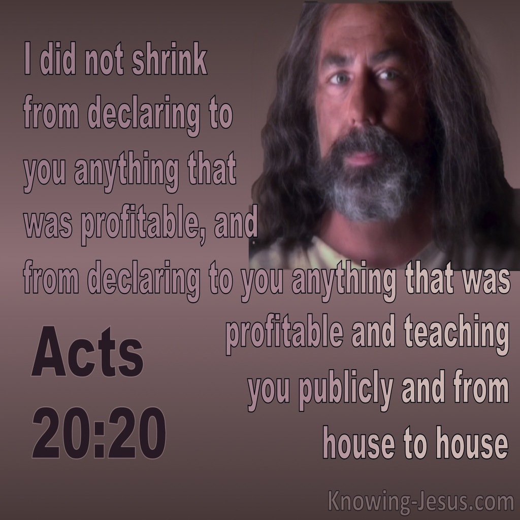 Acts  20-20 Paul Declared What Was Profitable (brown)